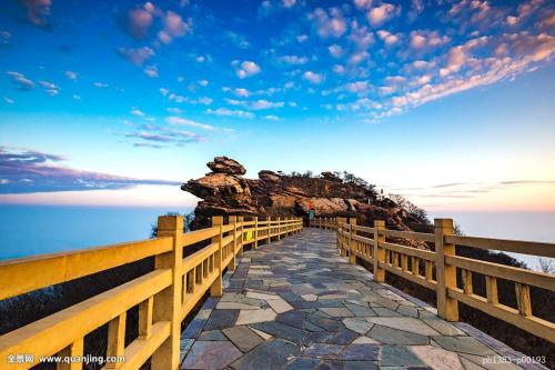 ÌØÀÊÆÕÇ©ÊðÐÂÒ»ÂÖÖ§³ö·¨°¸Ó¦¶ÔÈÕÇ÷¶ñ»¯Ð¹ÚÒßÇé