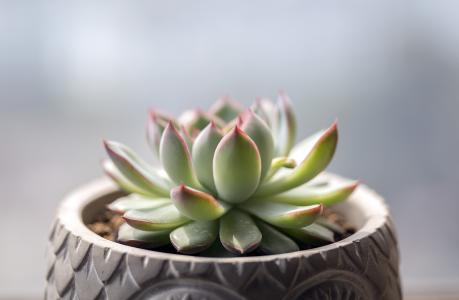 Êг¡¼à¹Ü×ֶܾÔÈý¼Ò²»Õýµ±¼Û¸ñÐÐΪ×÷³ö´¦·£¾ö¶¨