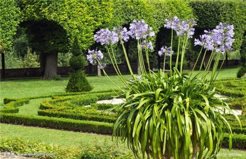 Õã½Ê¡¼Íίͨ±¨8ÆðÎ¥·´ÖÐÑë°ËÏî¹æ¶¨¾«ÉñÎÊÌâ