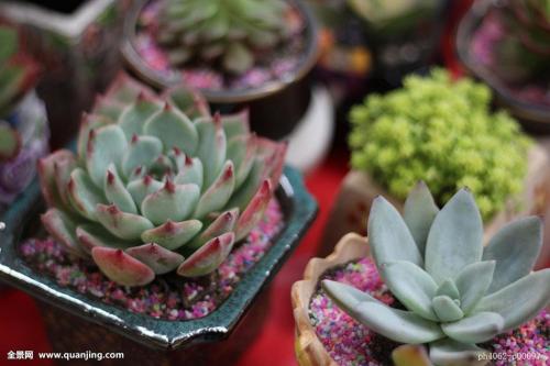 վƻش羳Ĳ 永ʽ4.4