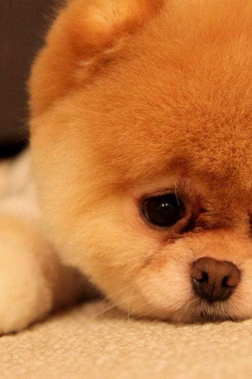 ͨ䲿Сͳ޾Ӫ߲泵ṩ