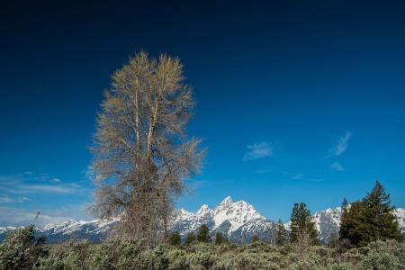 3124ʱ͡ͼ۸ÿϵ90Ԫ85Ԫ