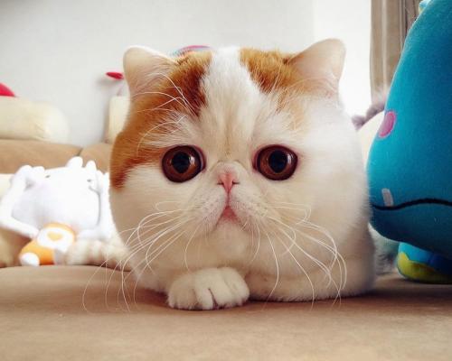 ɽۿൺִŶ:йǻ۸ۿػ